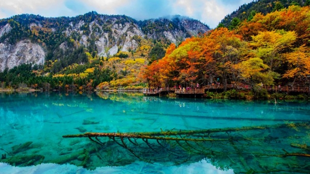 http://www.dynasty-tours.cn/uploads/20250806/5ee6a3ab74eacd2076c40dcf7ca25c4e.jpeg